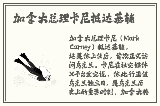 夜晚十**用软件今日更新